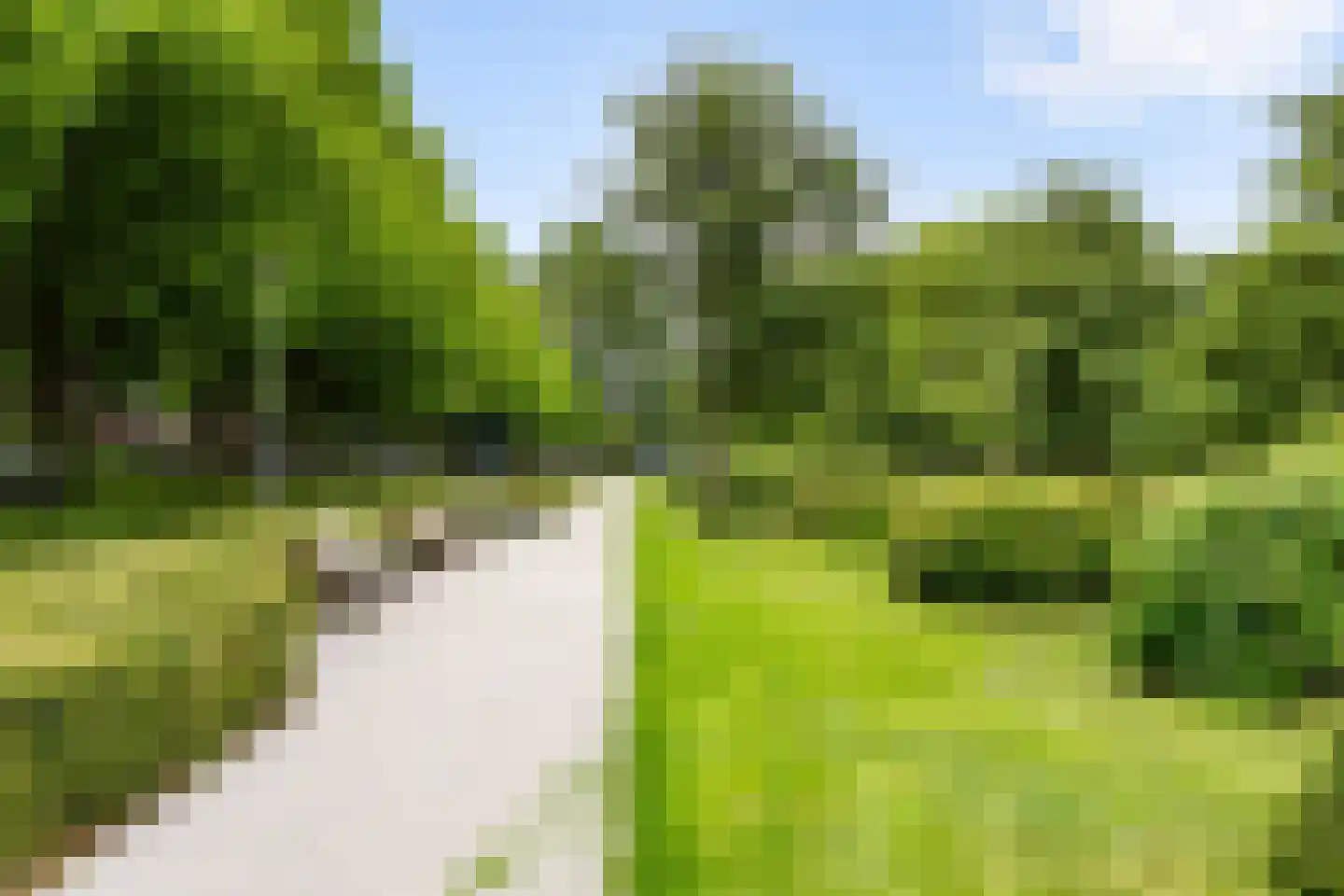 Vroesenlaan 36 D Rotterdam thumbnail 45