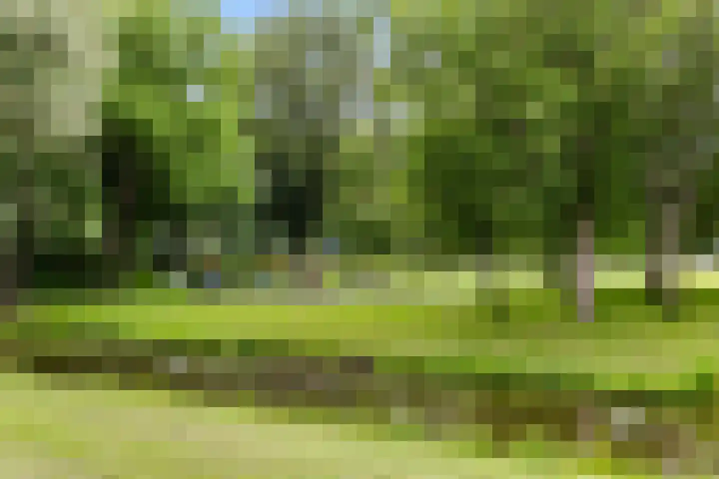 Vroesenlaan 36 D Rotterdam thumbnail 48