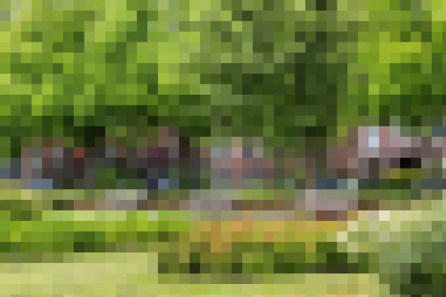 Vroesenlaan 36 D Rotterdam thumbnail 50