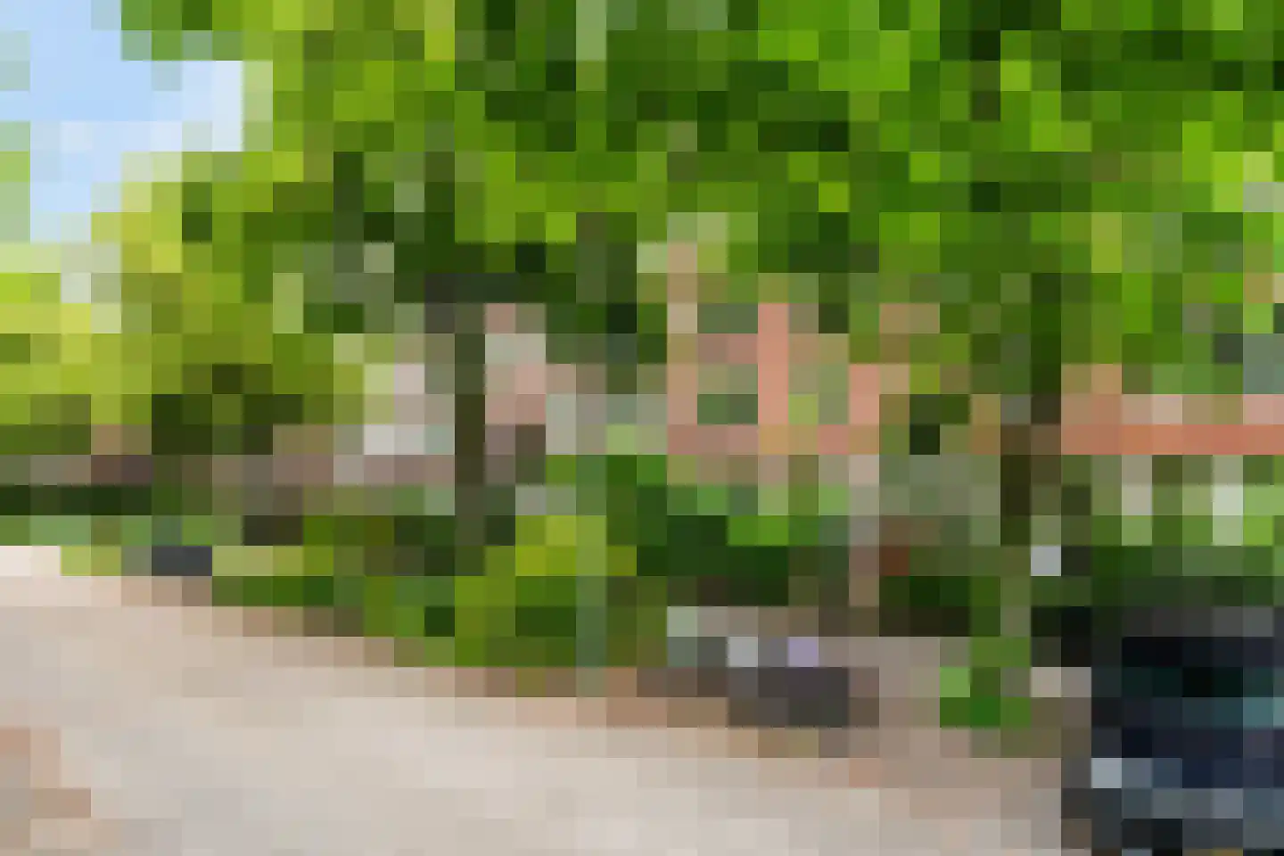 Vroesenlaan 36 D Rotterdam thumbnail 56