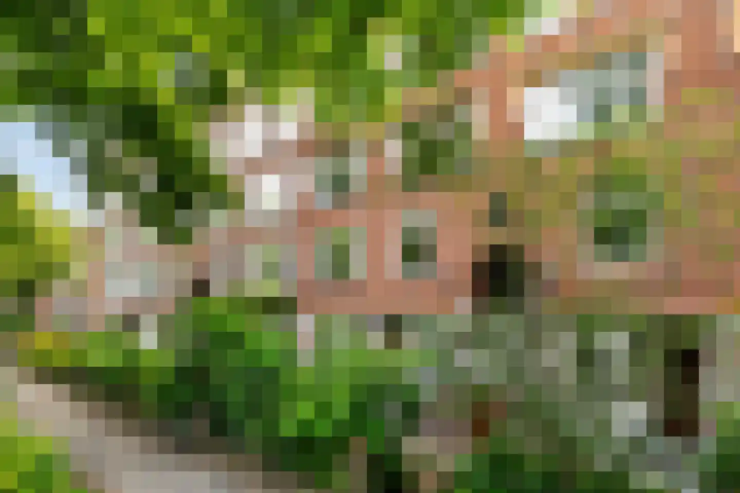 Vroesenlaan 36 D Rotterdam thumbnail 58