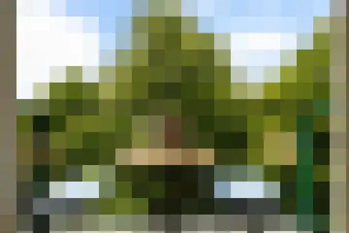 Vroesenlaan 38 A 02 Rotterdam thumbnail 29