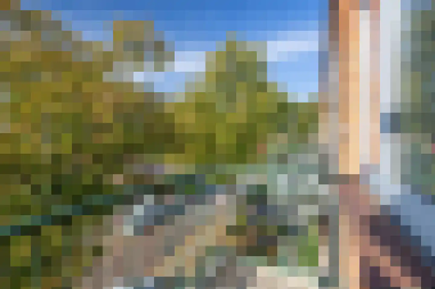 Vroesenlaan 4 C Rotterdam thumbnail 17