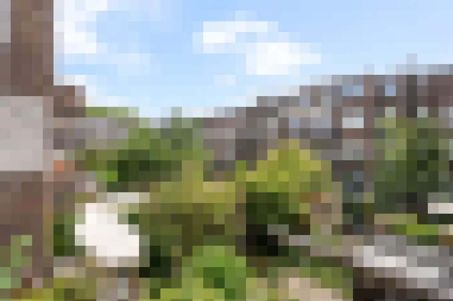 Vroesenlaan 46 C Rotterdam thumbnail 13