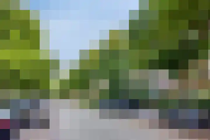 Vroesenlaan 47 D Rotterdam thumbnail 10