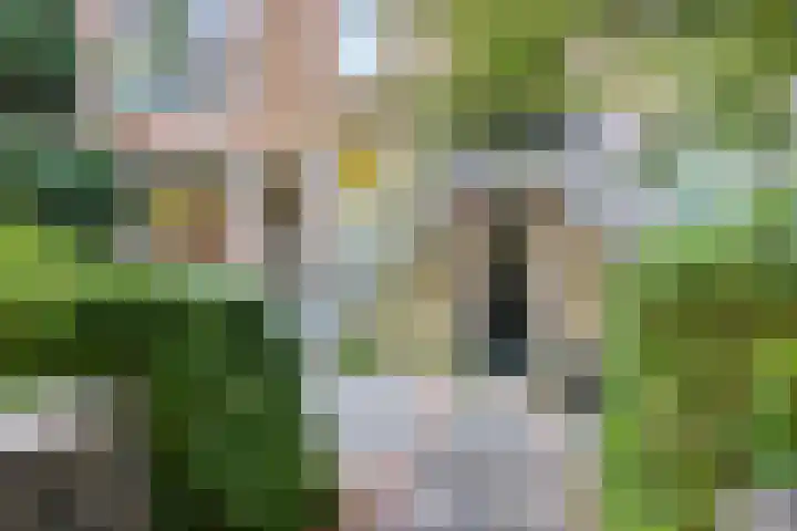 Vroesenlaan 47 D Rotterdam thumbnail 11
