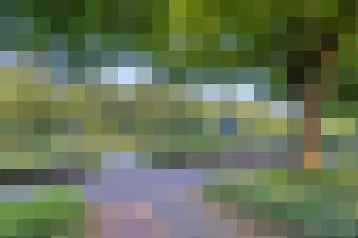Vroesenlaan 47 D Rotterdam thumbnail 34
