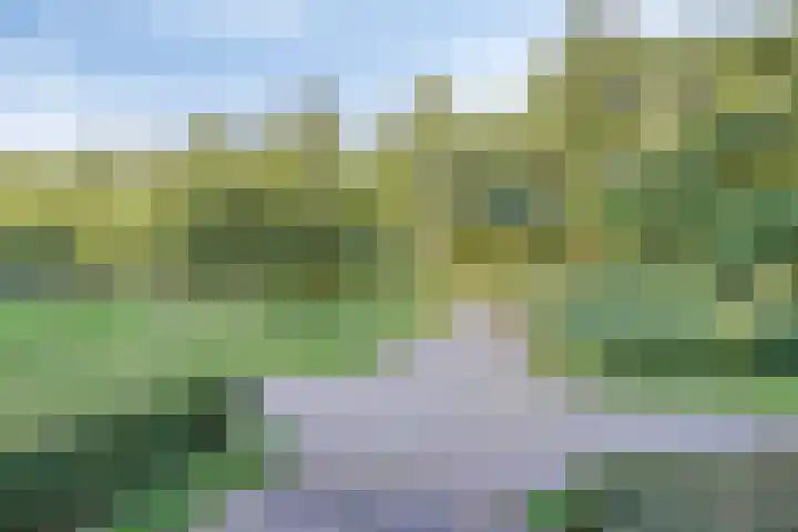 Vroesenlaan 47 D Rotterdam thumbnail 35