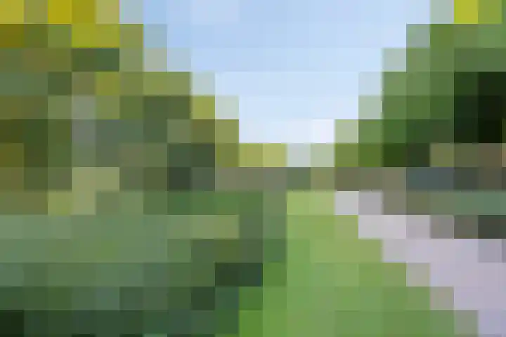Vroesenlaan 47 D Rotterdam thumbnail 36