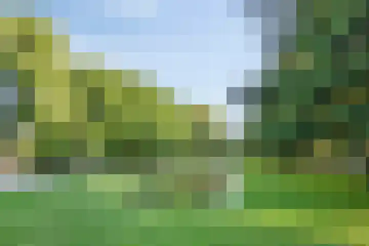 Vroesenlaan 47 D Rotterdam thumbnail 37