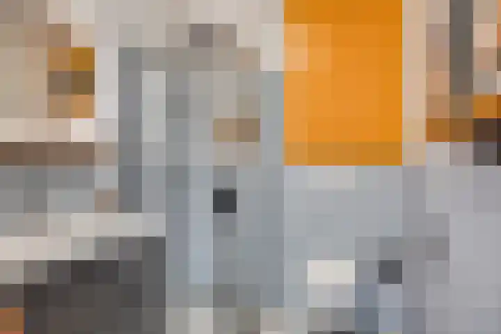 Vroesenlaan 47 D Rotterdam thumbnail 4