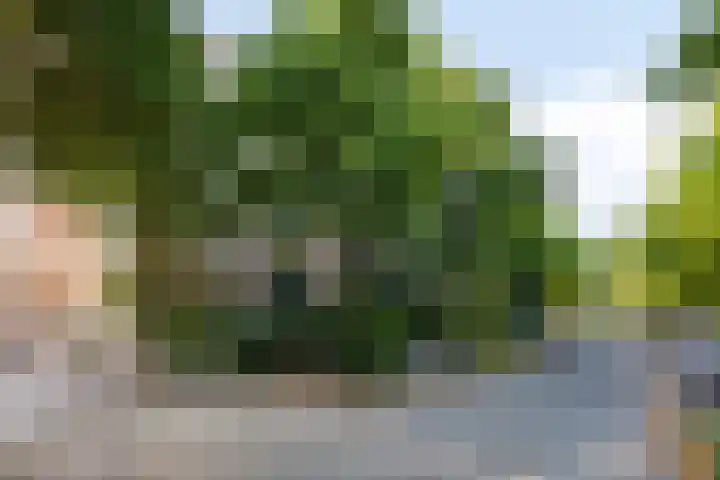 Vroesenlaan 47 D Rotterdam thumbnail 6