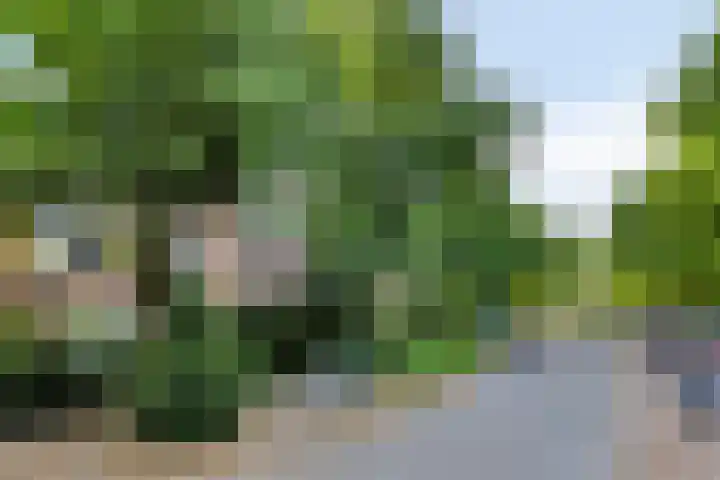 Vroesenlaan 47 D Rotterdam thumbnail 7