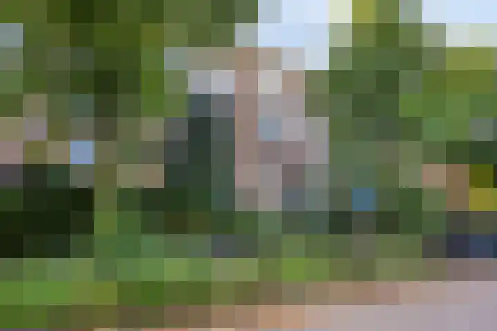 Vroesenlaan 47 D Rotterdam thumbnail 8