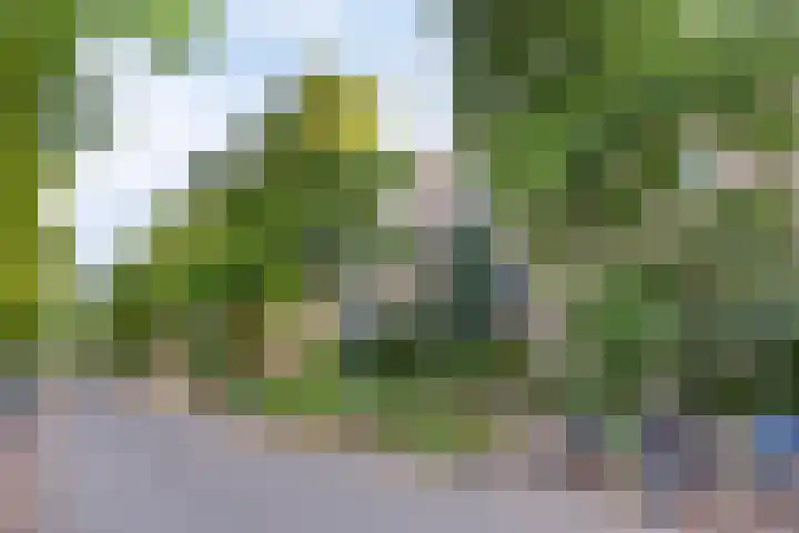 Vroesenlaan 47 D Rotterdam thumbnail 9