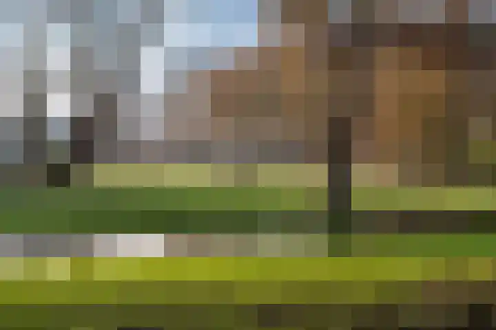 Vroesenlaan 49 D Rotterdam thumbnail 33