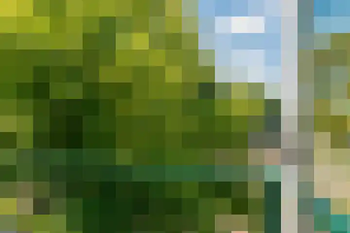 Vroesenlaan 5 B Rotterdam thumbnail 22