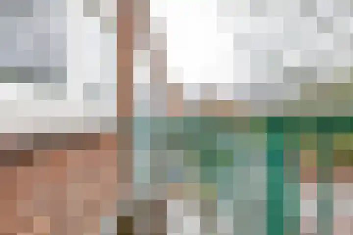 Vroesenlaan 7 C Rotterdam thumbnail 21