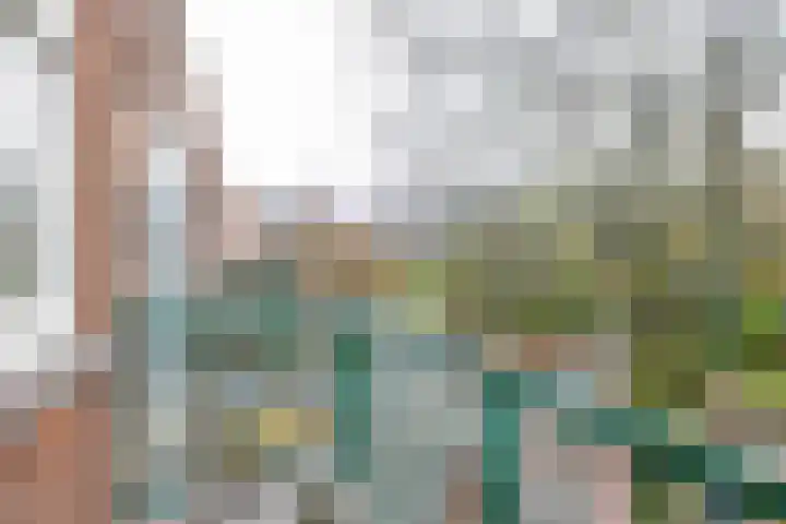 Vroesenlaan 7 C Rotterdam thumbnail 22
