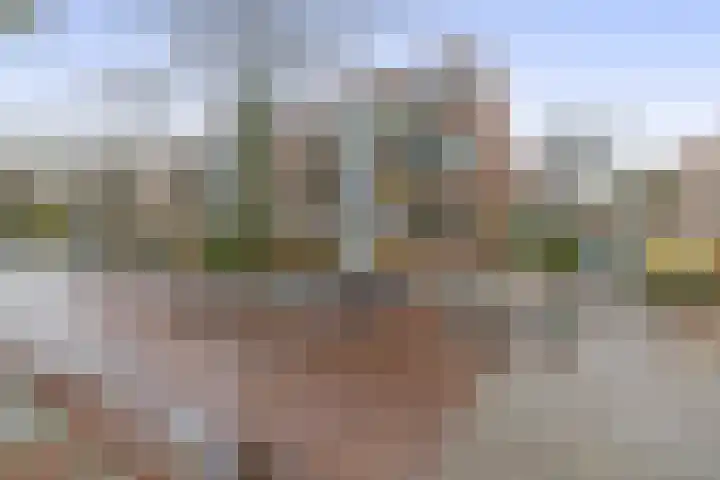 Vroesenlaan 7 C Rotterdam thumbnail 24