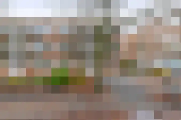Vroesenlaan 7 C Rotterdam thumbnail 25