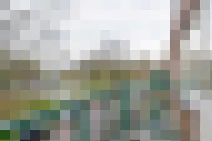 Vroesenlaan 7 C Rotterdam thumbnail 6
