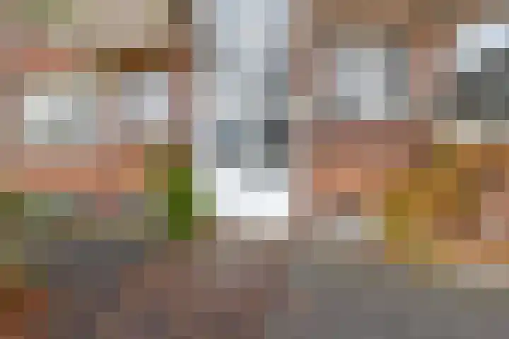Vroesenlaan 7 C Rotterdam thumbnail 7