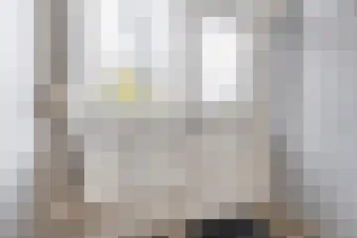 Vroesenlaan 7 C Rotterdam thumbnail 8