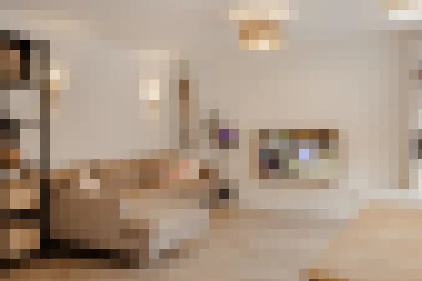 Vrolikstraat 120 B Amsterdam thumbnail 6