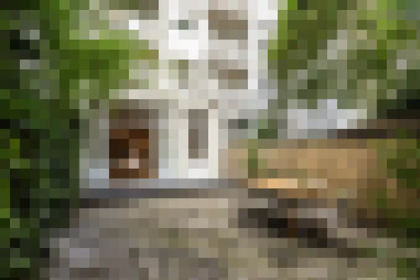 Vrolikstraat 150 H Amsterdam thumbnail 22