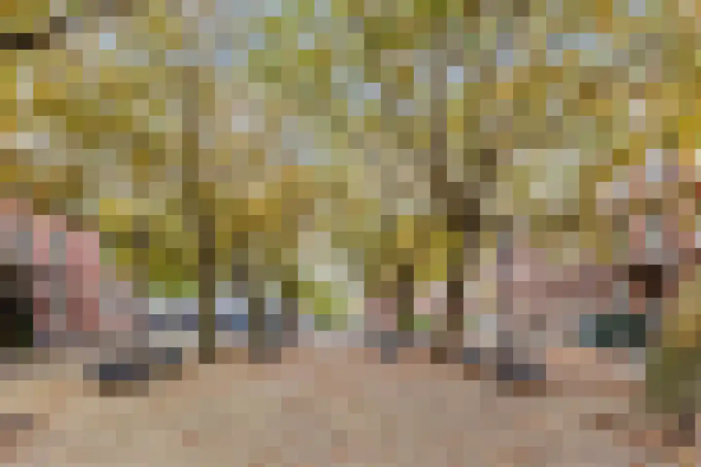 Vrolikstraat 202 2 Amsterdam thumbnail 42
