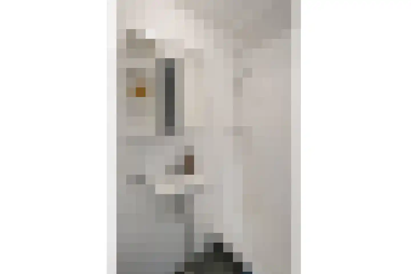 Vrolikstraat 204 4 Amsterdam thumbnail 18