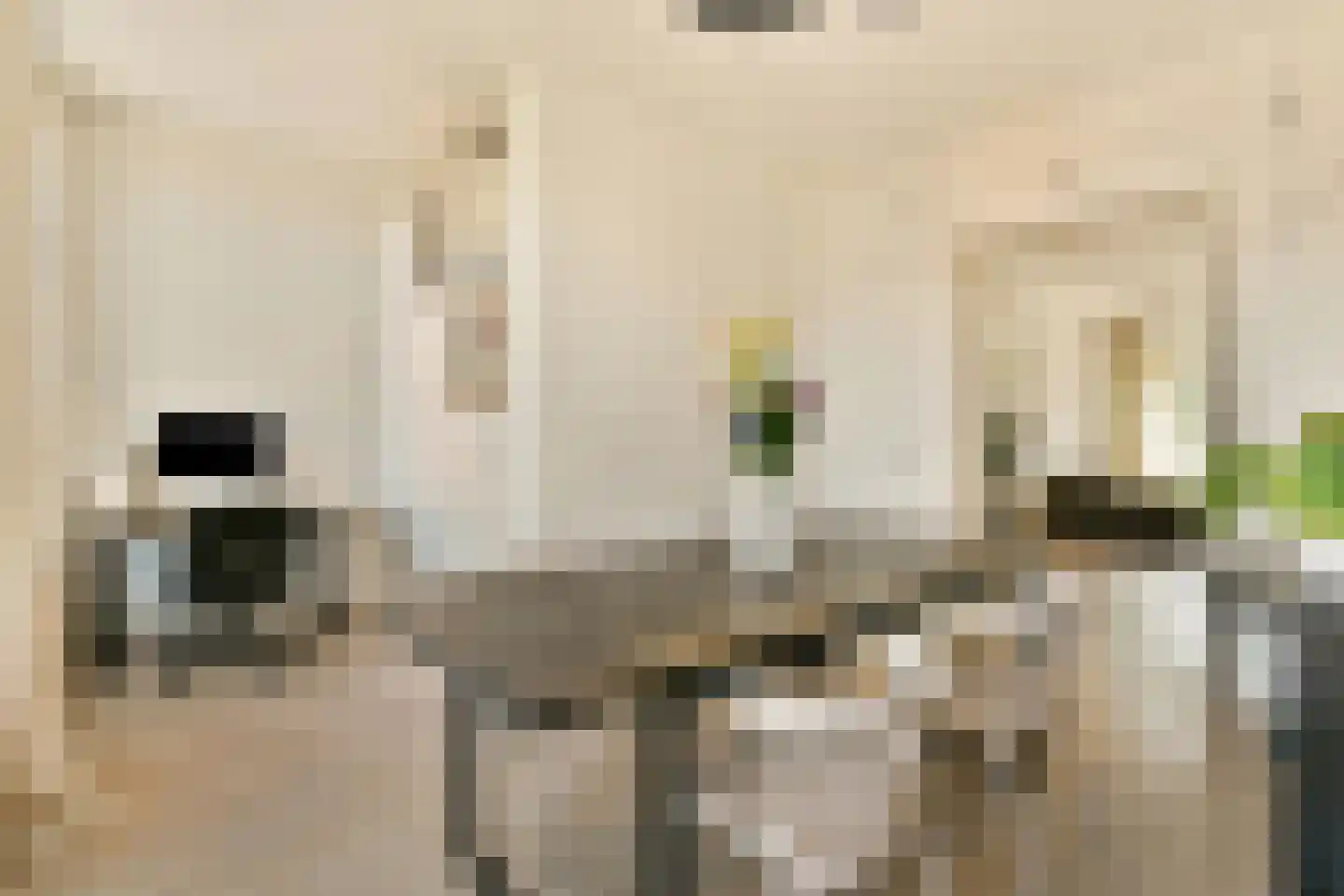 Vrolikstraat 206 3 Amsterdam thumbnail 10