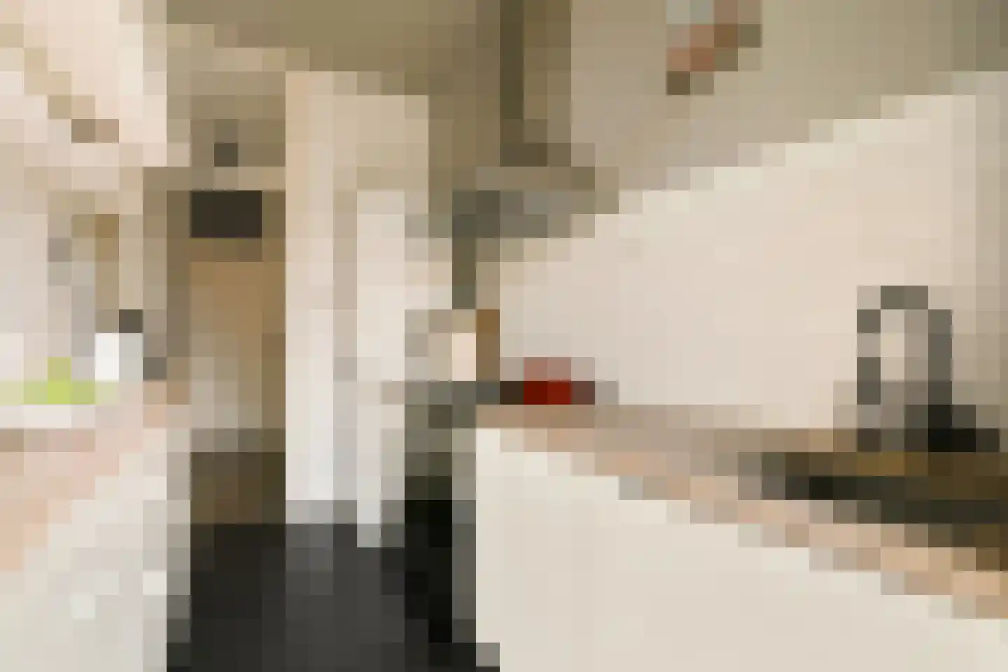 Vrolikstraat 206 3 Amsterdam thumbnail 12