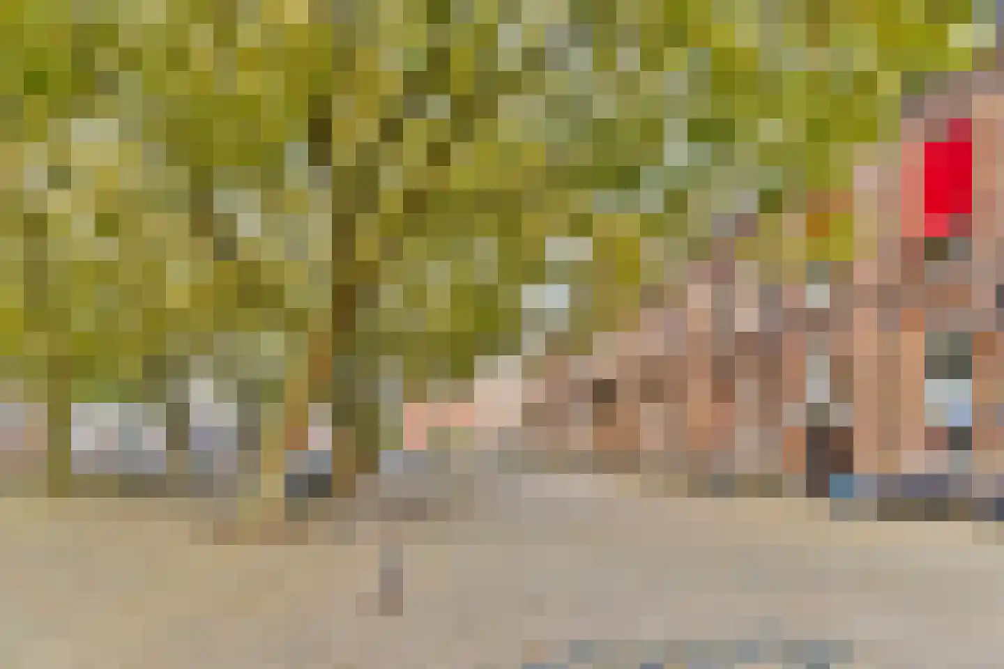 Vrolikstraat 206 3 Amsterdam thumbnail 24