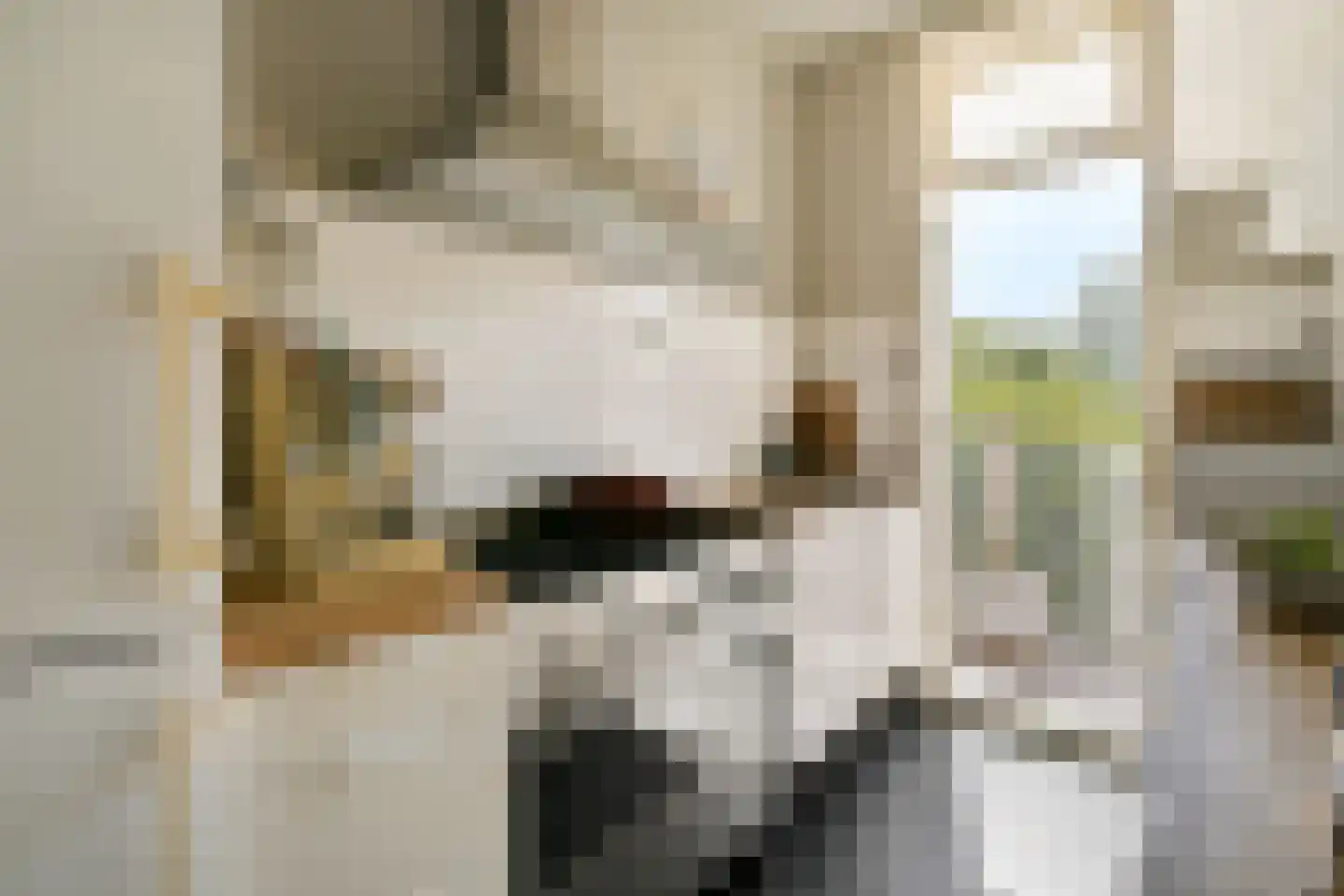 Vrolikstraat 206 3 Amsterdam thumbnail 4