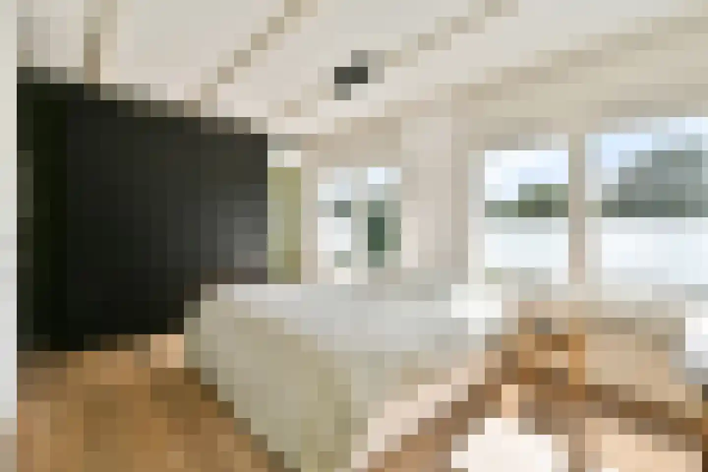 Vrolikstraat 206 3 Amsterdam thumbnail 5