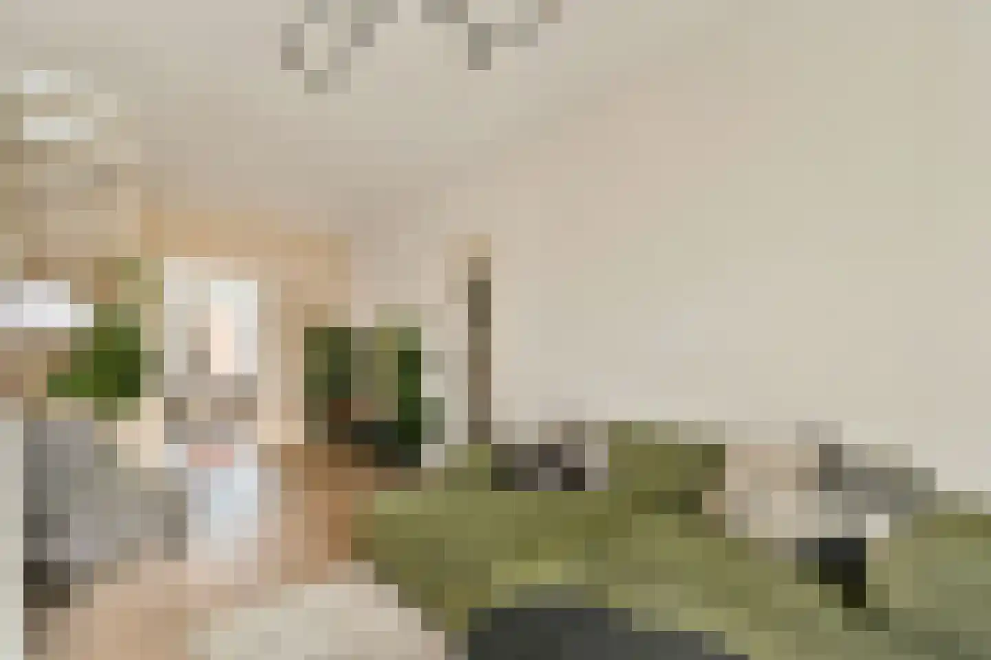 Vrolikstraat 206 3 Amsterdam thumbnail 7