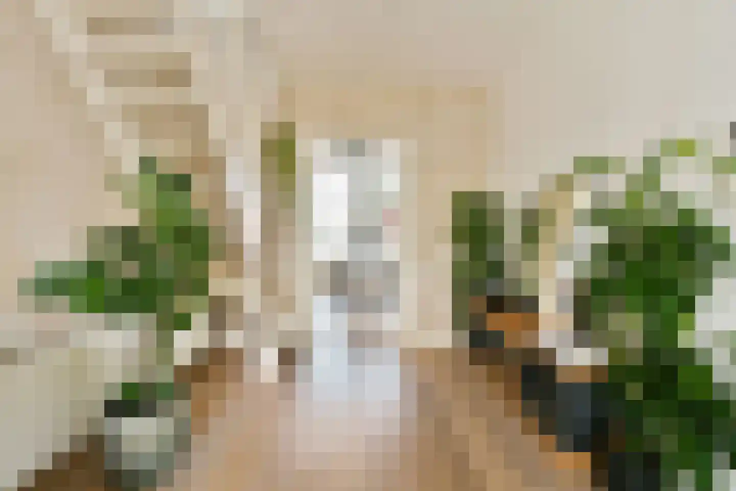 Vrolikstraat 206 3 Amsterdam thumbnail 8