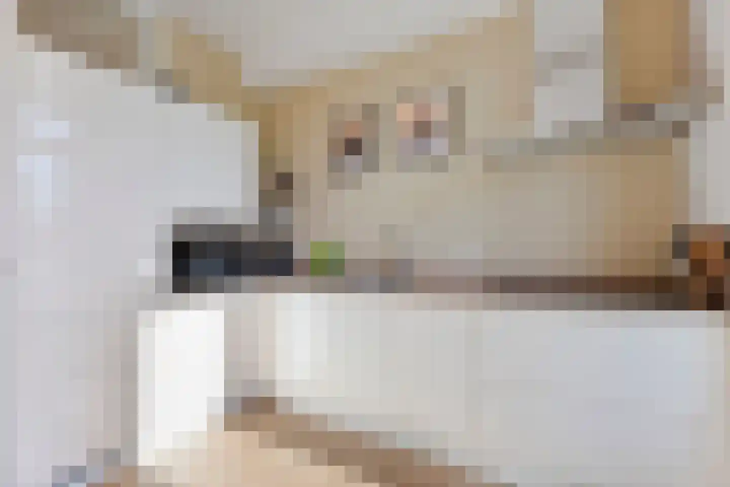 Vrolikstraat 222 3 Amsterdam thumbnail 13