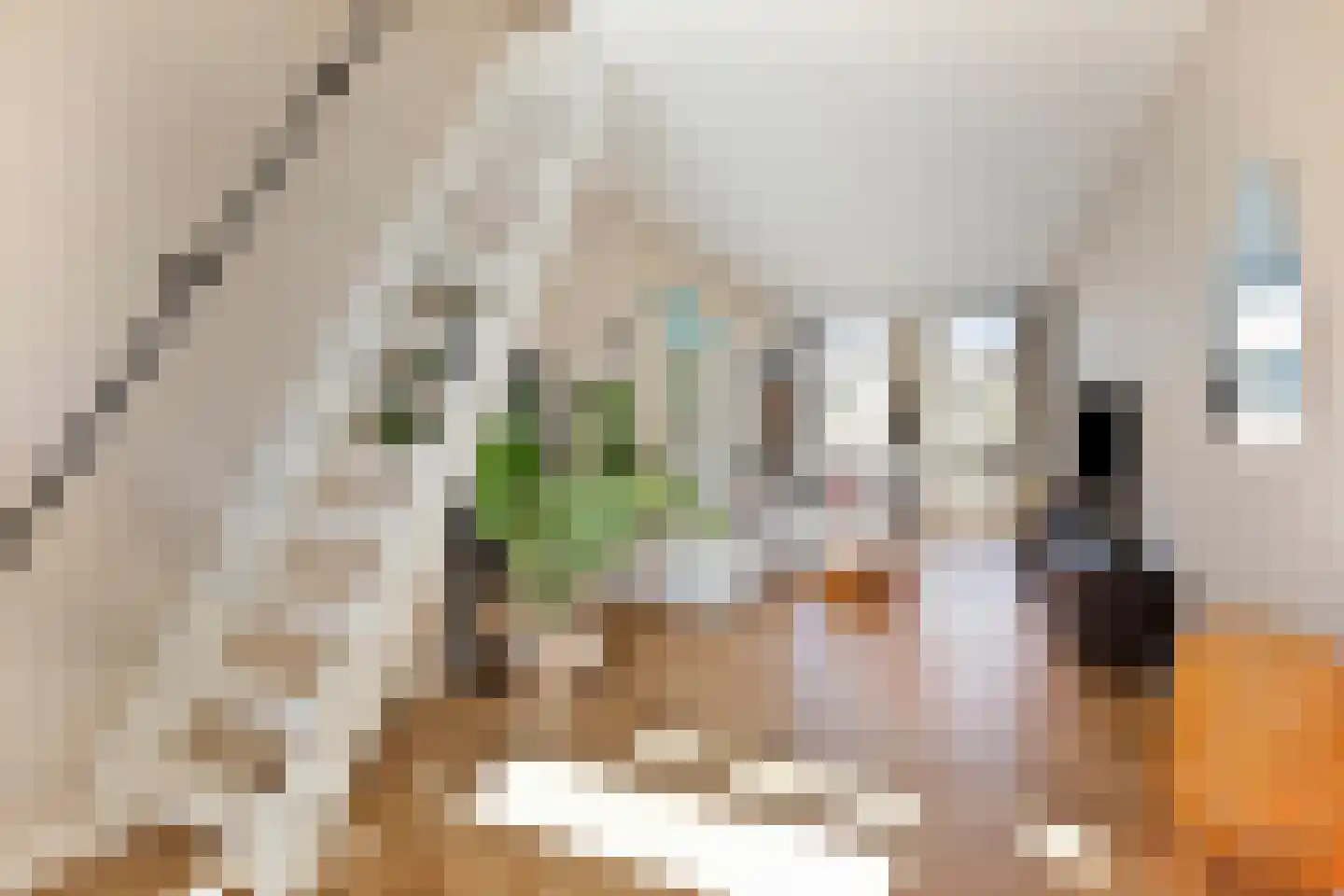 Vrolikstraat 222 3 Amsterdam thumbnail 19