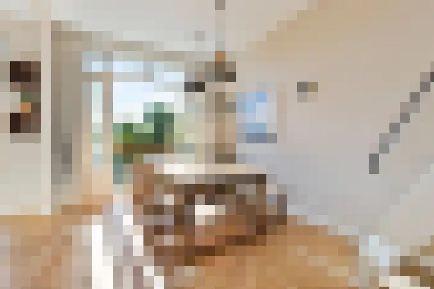 Vrolikstraat 222 3 Amsterdam thumbnail 22
