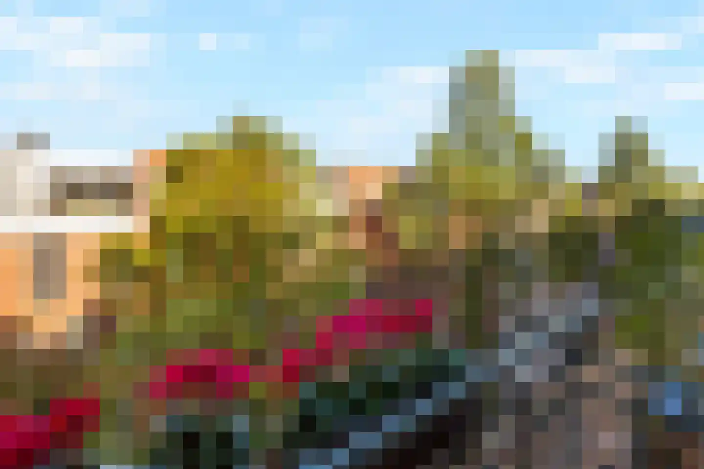 Vrolikstraat 222 3 Amsterdam thumbnail 25