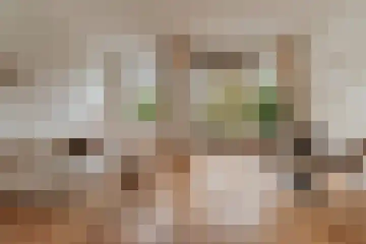 Vrolikstraat 246 B in Amsterdam