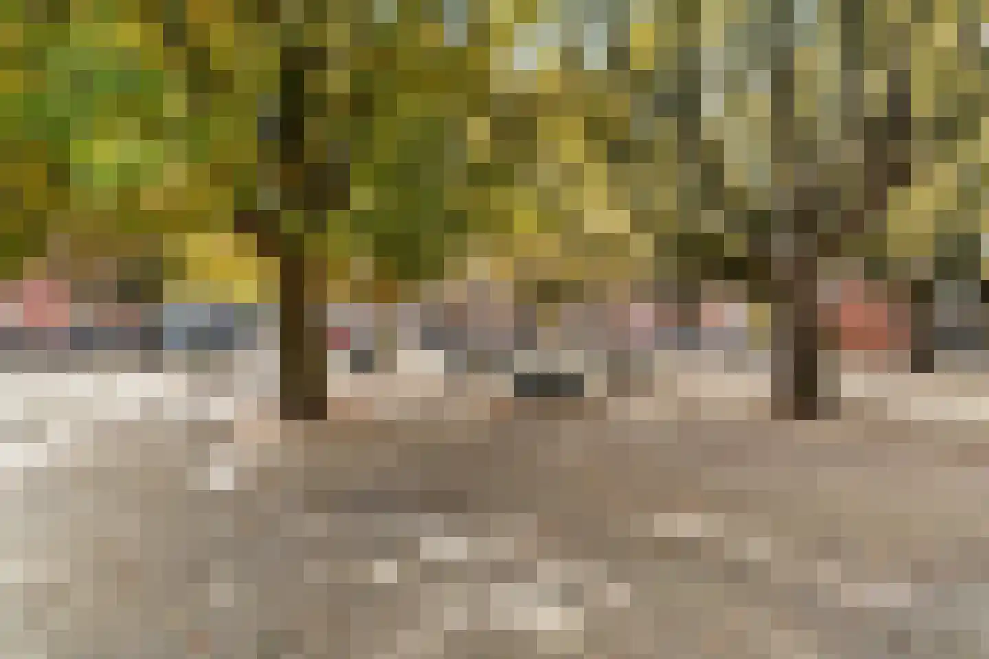 Vrolikstraat 248 2 Amsterdam thumbnail 19