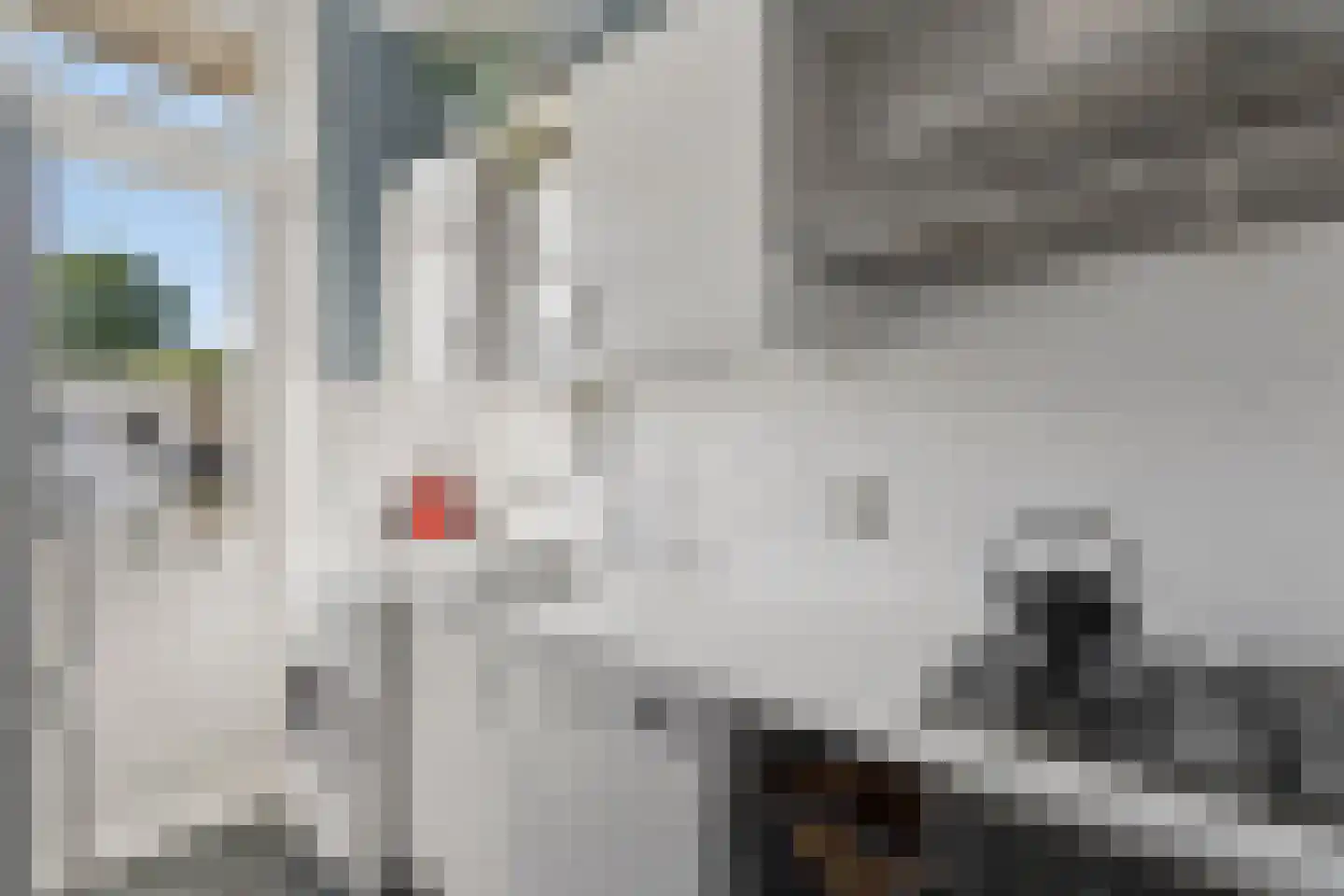 Vrolikstraat 252 2 Amsterdam thumbnail 17