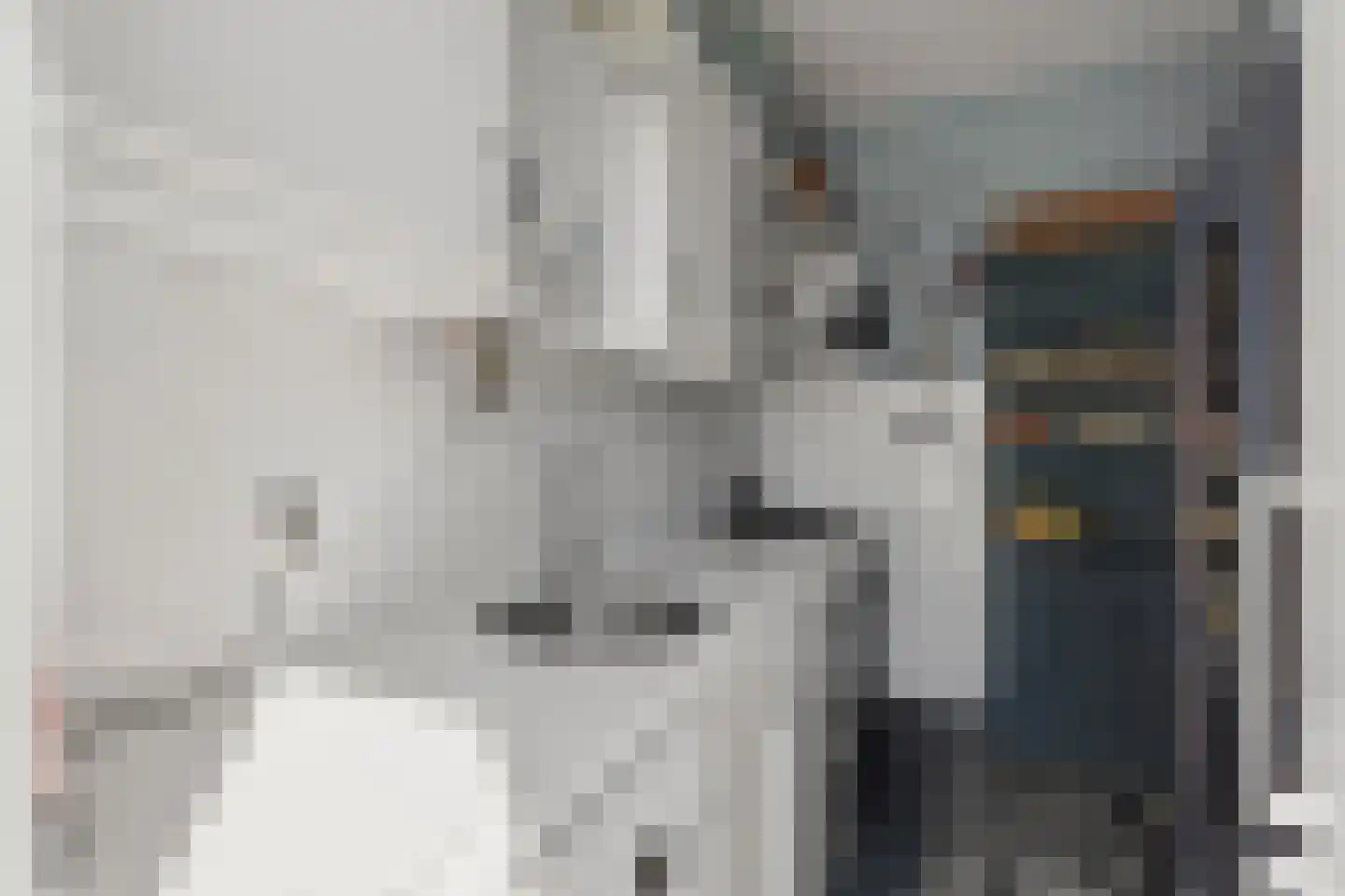 Vrolikstraat 252 2 Amsterdam thumbnail 18