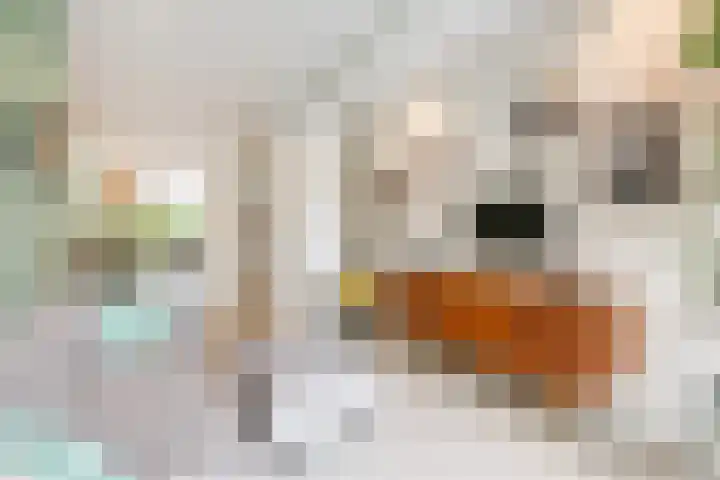 Vrolikstraat 252 3 Amsterdam thumbnail 6