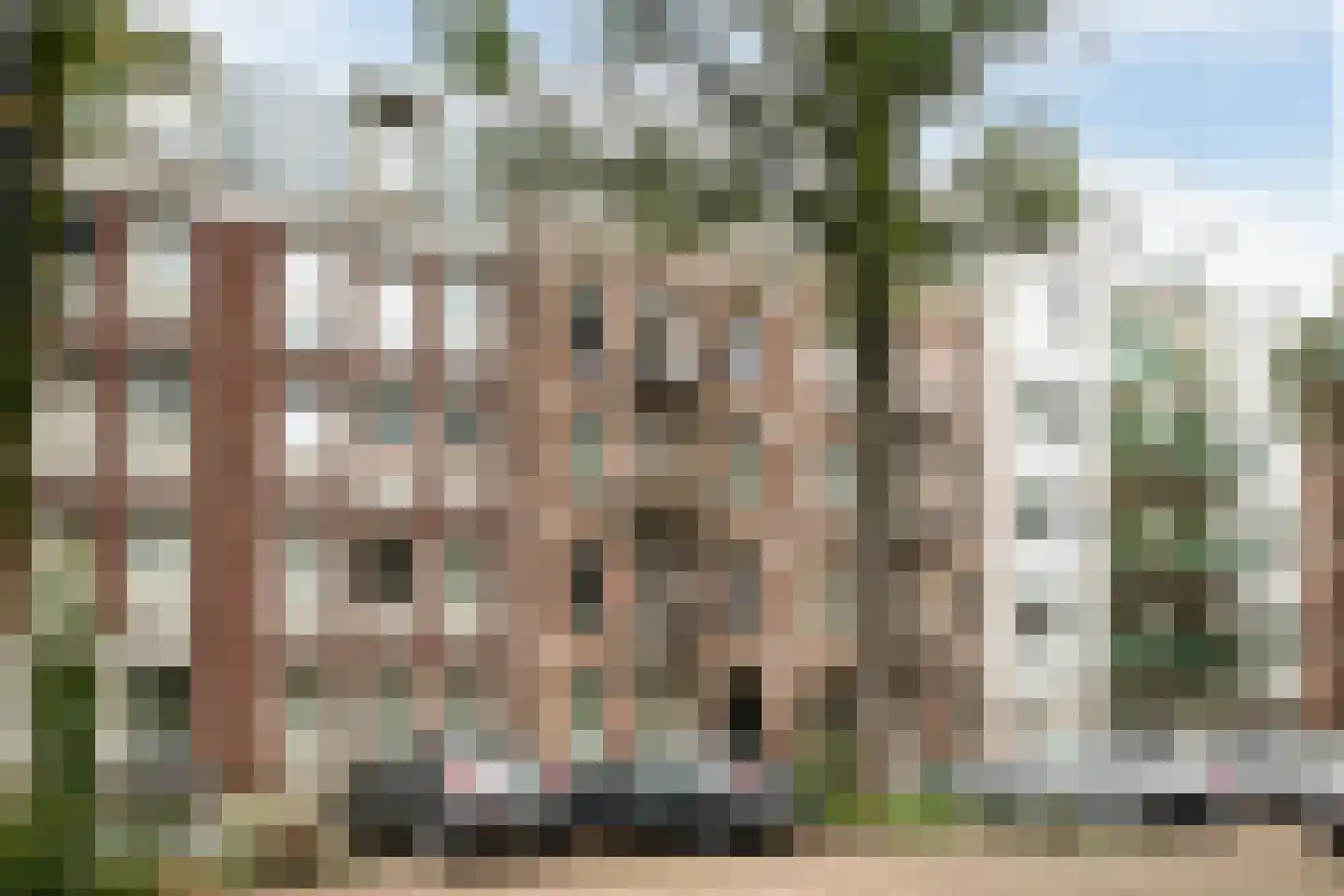 Vrolikstraat 253 3 in Amsterdam