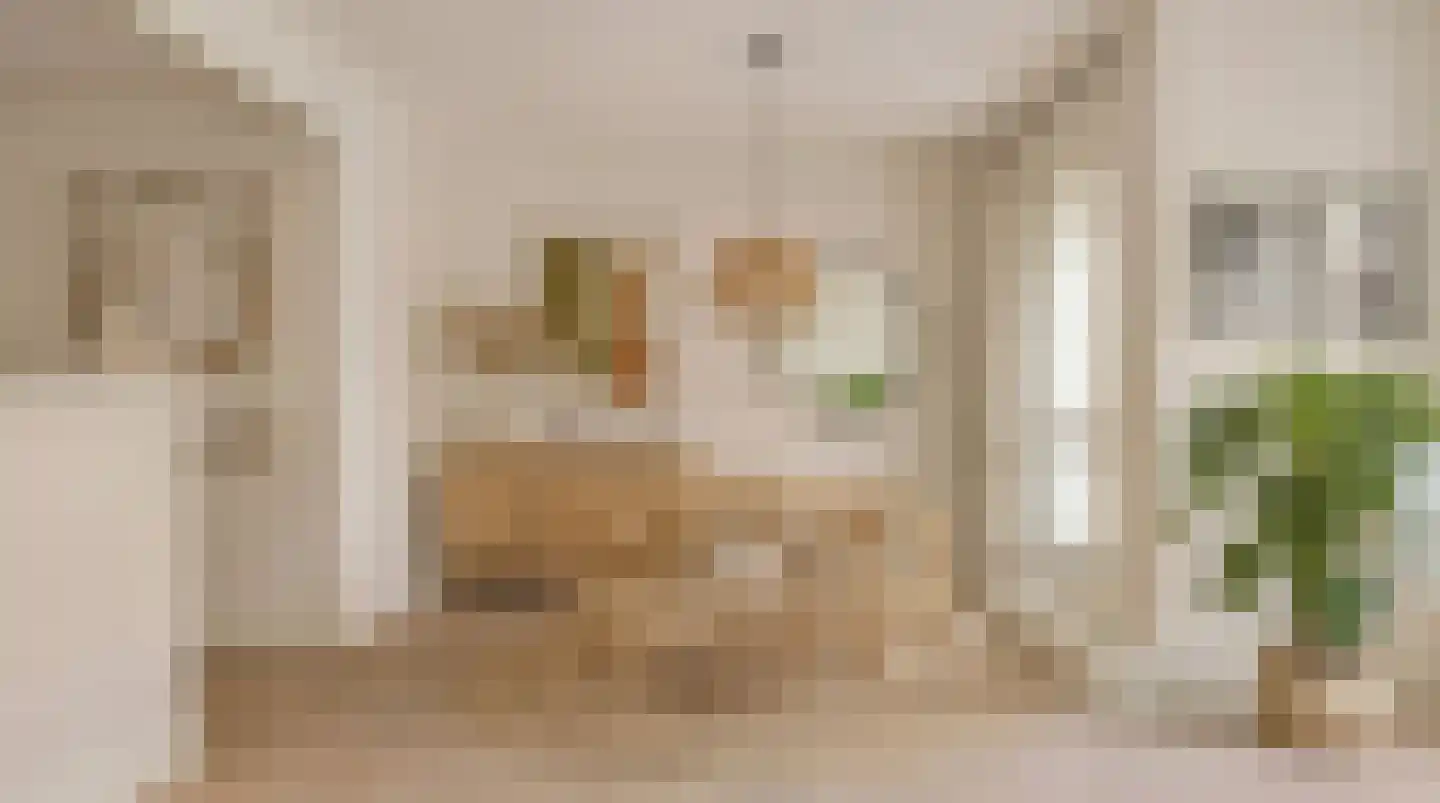 Vrolikstraat 257 B Amsterdam thumbnail 4